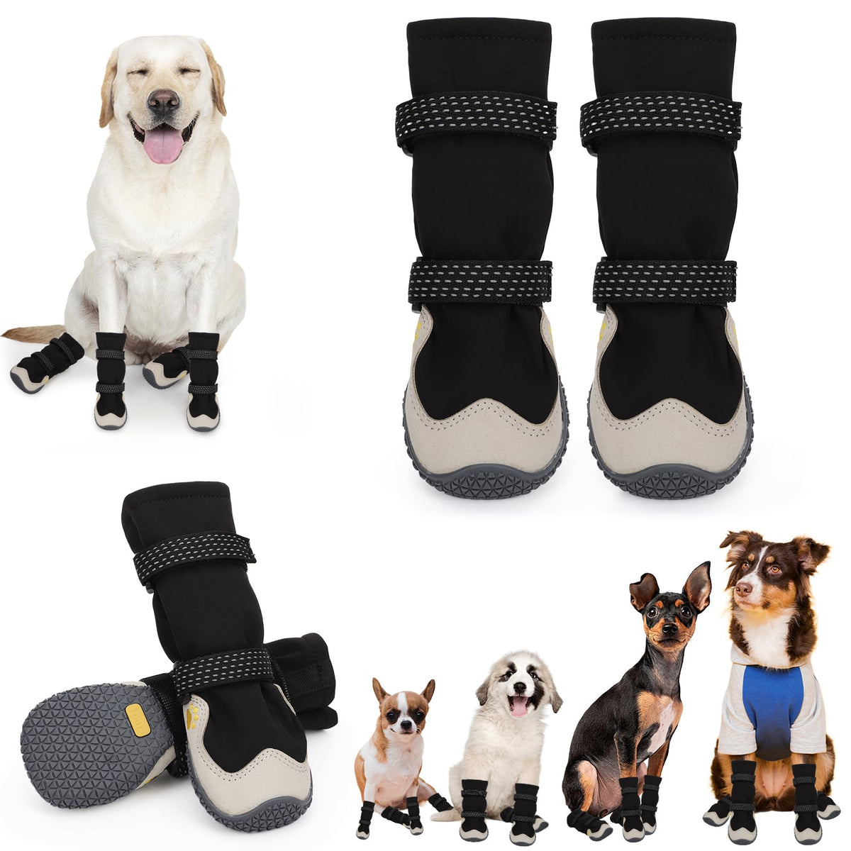 Footwear