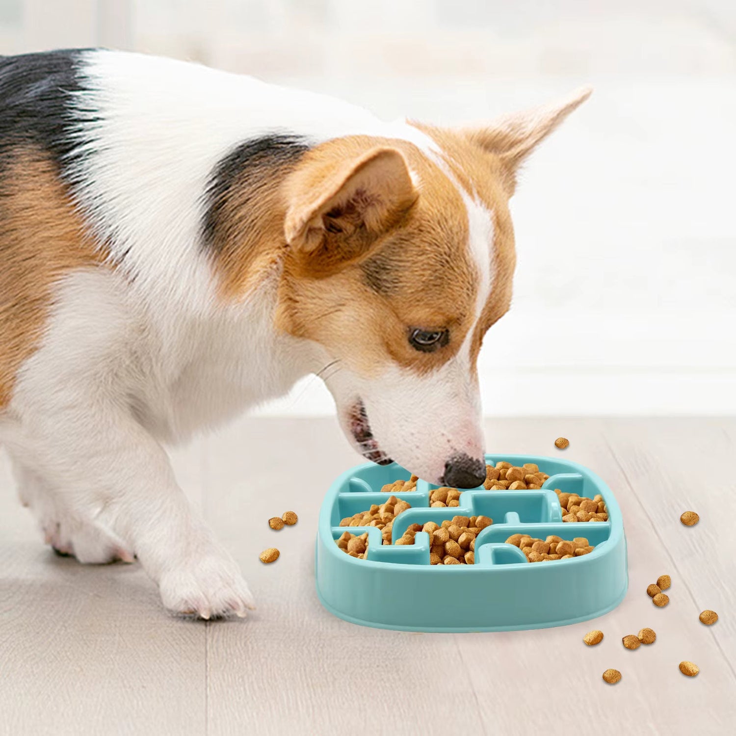 Bowls And Feeding