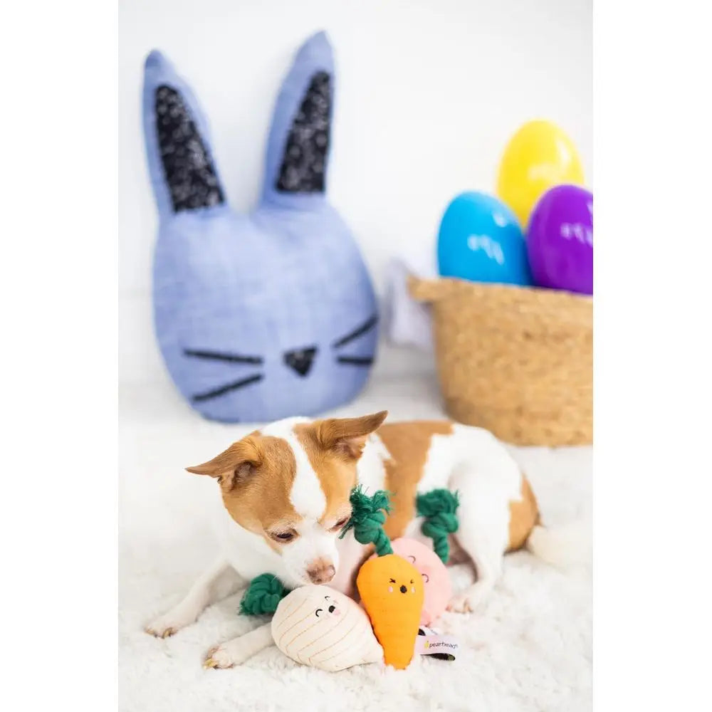 Garden Veggies Dog Toys, Plush Squeaky Rope Dog Toys, Radish Carrot & Turnip Vegetable Dog Toy Set, Loud Squeakers, Set of 3